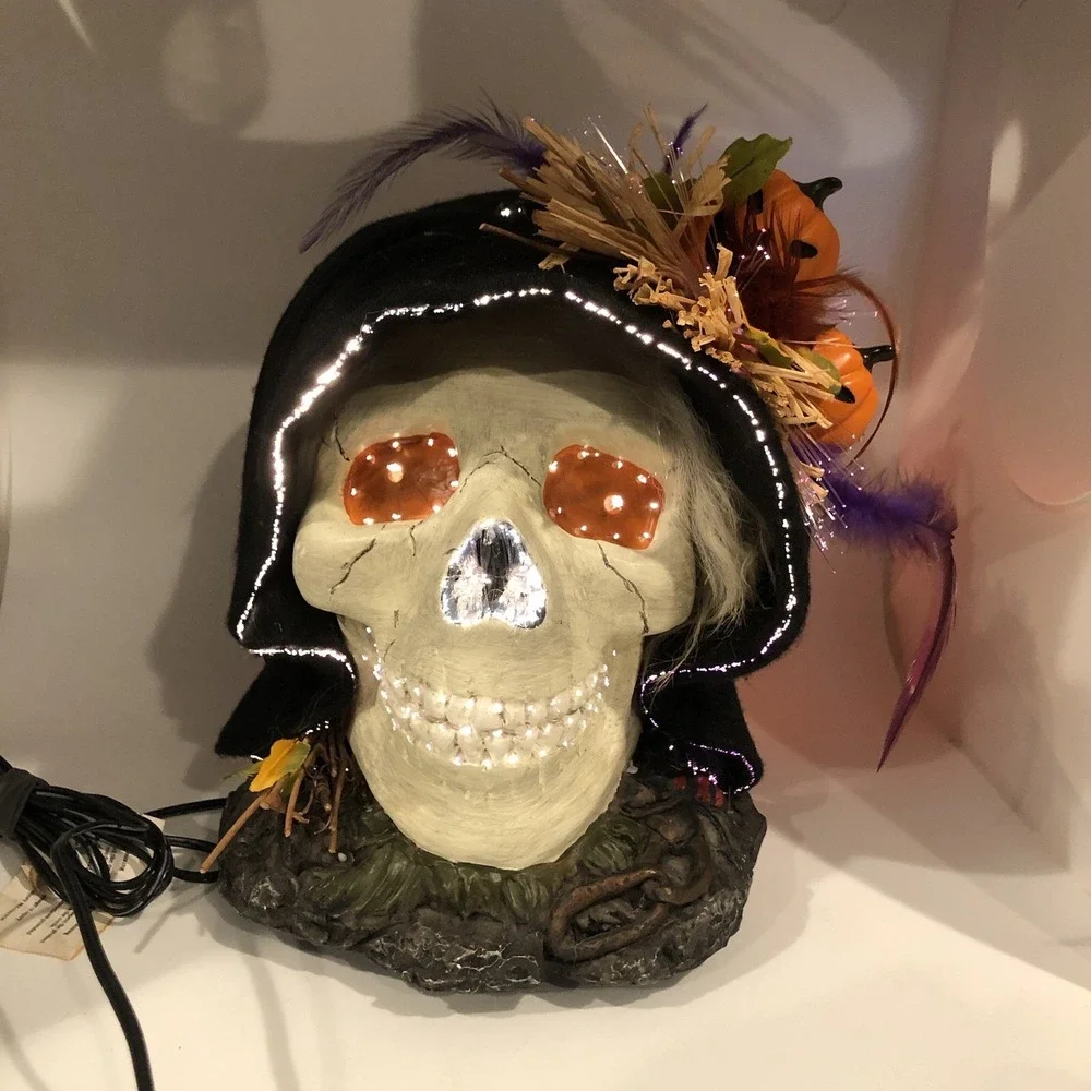 Fiber Optic Halloween Skull With Black Hood Creative Designs